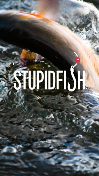 StupidFish
