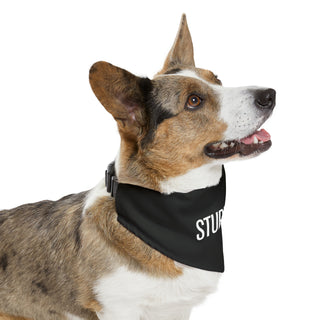 StupidFish Pet Bandana Collar